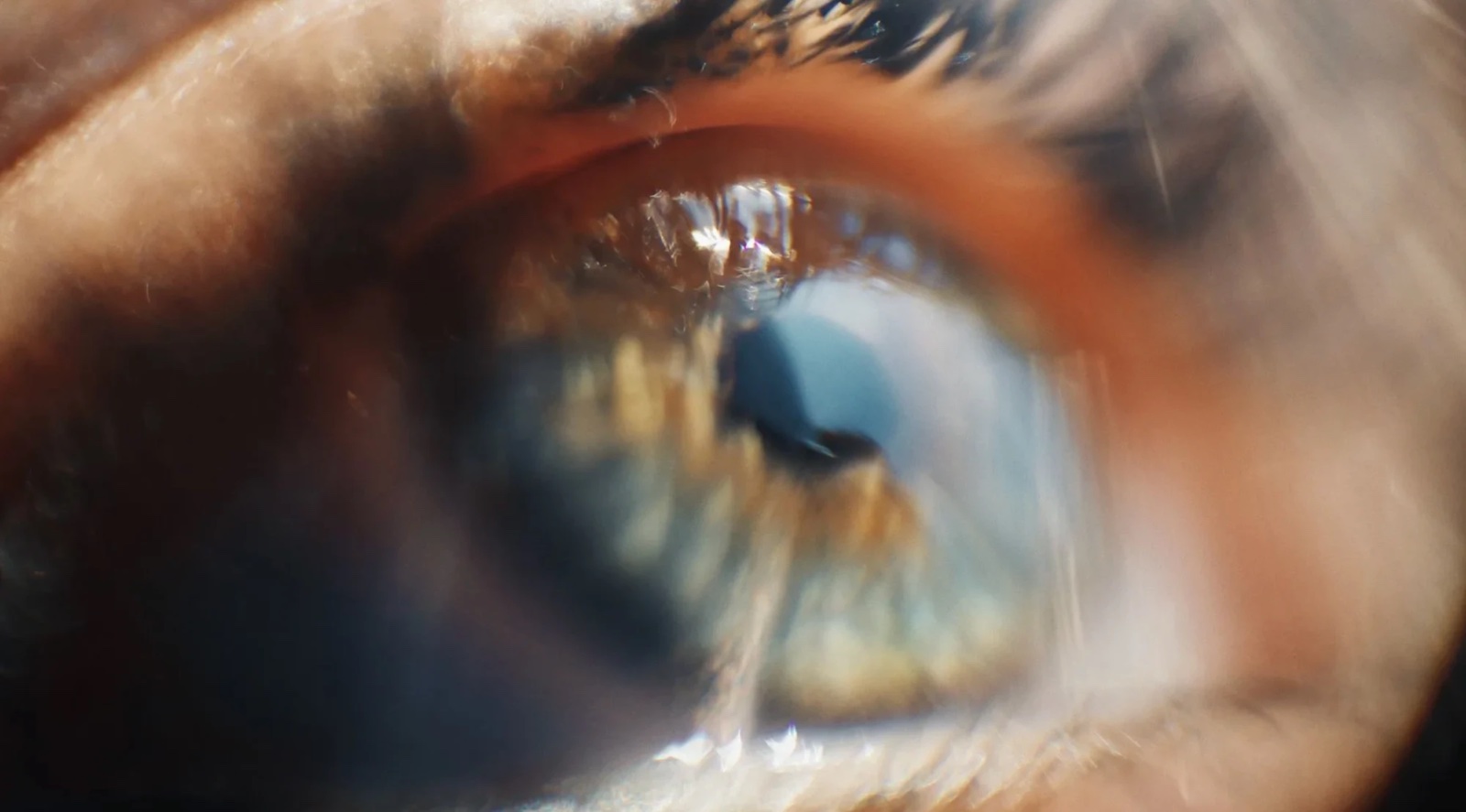 An extreme close-up of a blue eye flecked with amber, in warm light.